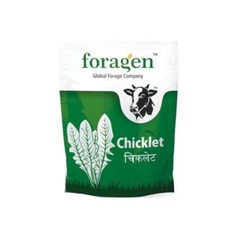 chiclet foragen|FORAGEN CHICKLET (100 GM) .